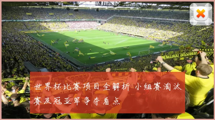 世界杯比赛项目全解析 小组赛淘汰赛及冠亚军争夺看点