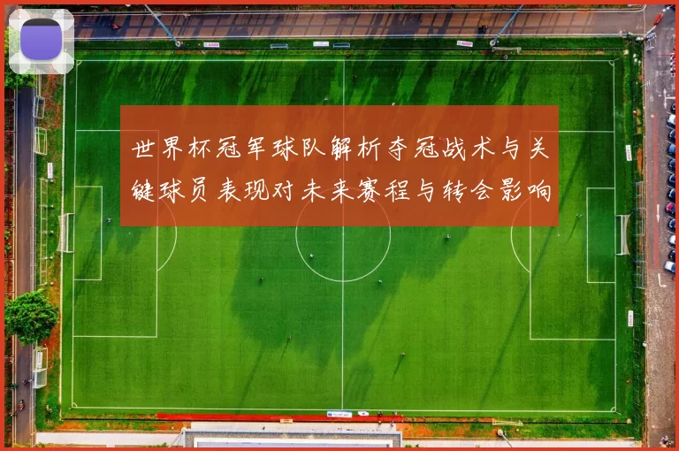 世界杯冠军球队解析夺冠战术与关键球员表现对未来赛程与转会影响